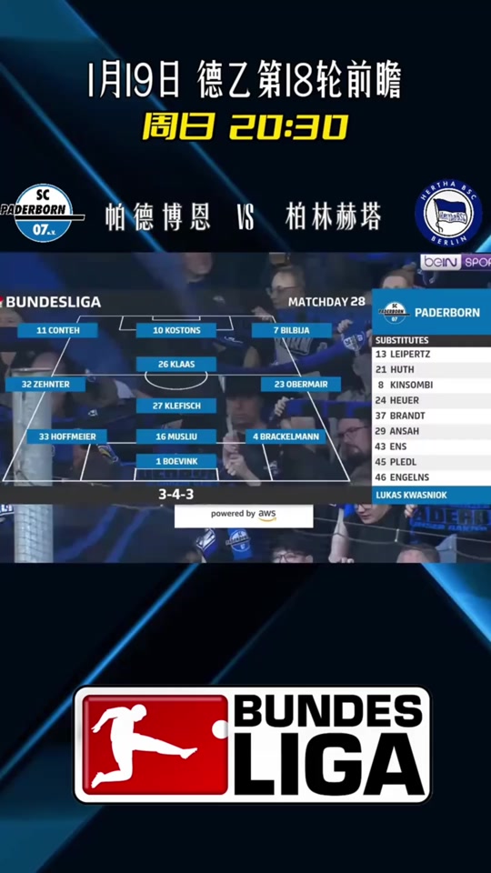 九游VIP-柏林赫塔队客场取胜，积分榜上升