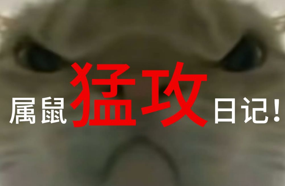 猛龙禁区防守强硬,对手难以突破 猛龙禁区防守强硬,对手难以突破