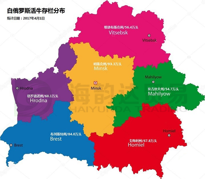 九游娱乐-比利时与白俄罗斯互交白卷，仍获小组领先的简单介绍