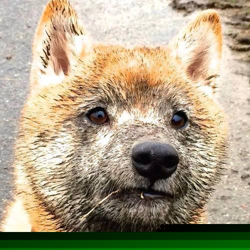 九游娱乐app下载-铁幕降临盐湖城，当太阳的防守艺术，冻结了爵士的狂想曲