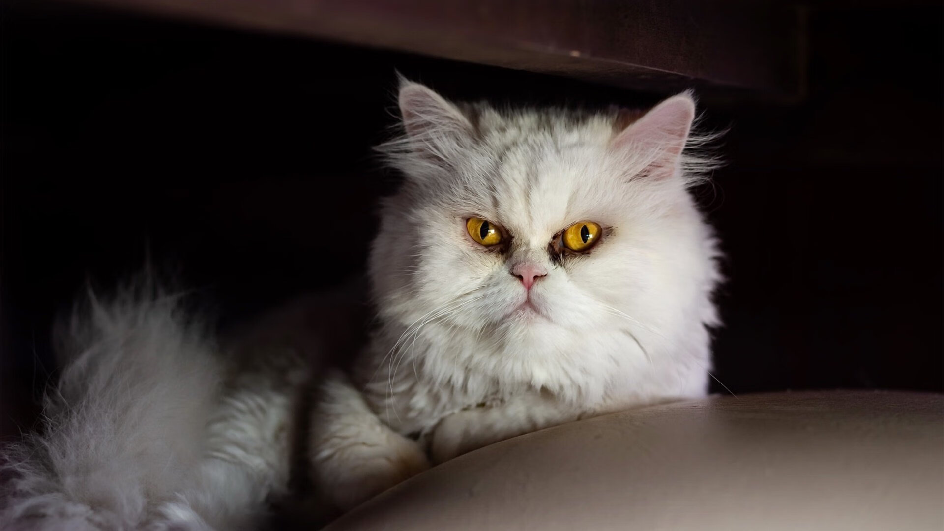 九游娱乐入口-当桑巴舞步碾过机械军团，内马尔的艺术足球与葡萄牙式压迫美学的胜利