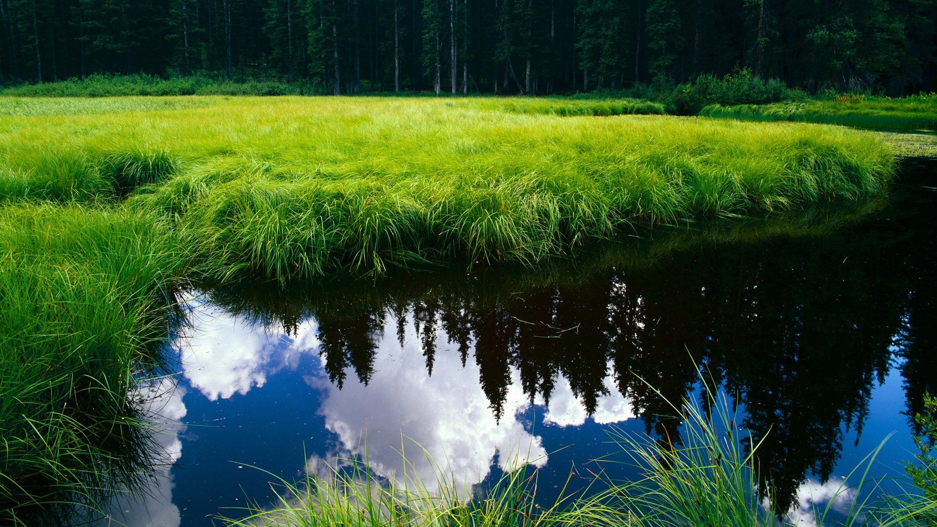 冰与火，当F1揭幕悬念撞上鹈鹕的提前审判