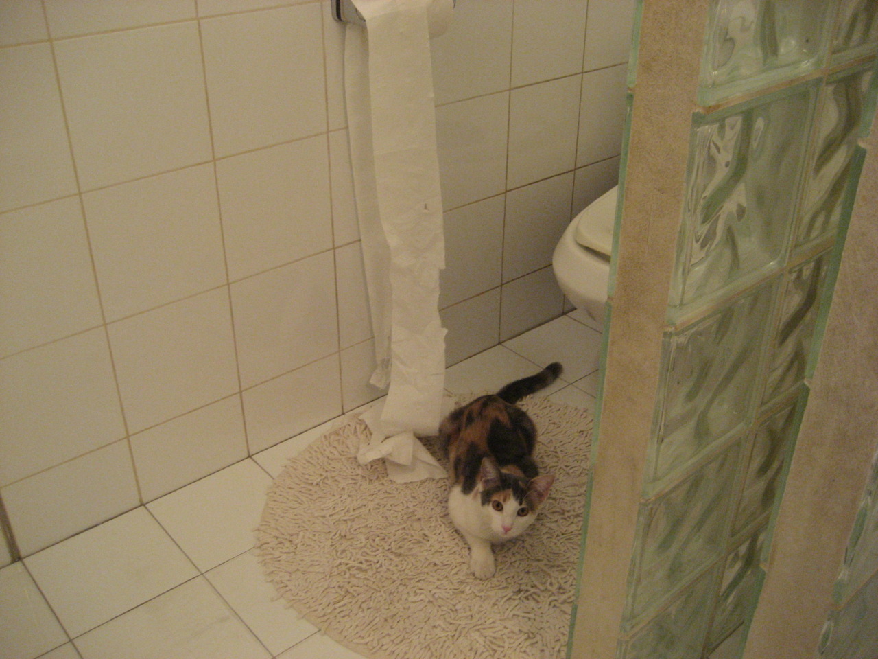 活塞打穿奇才,西亚卡姆2026世界杯接管比赛,篮球世界的双重风暴