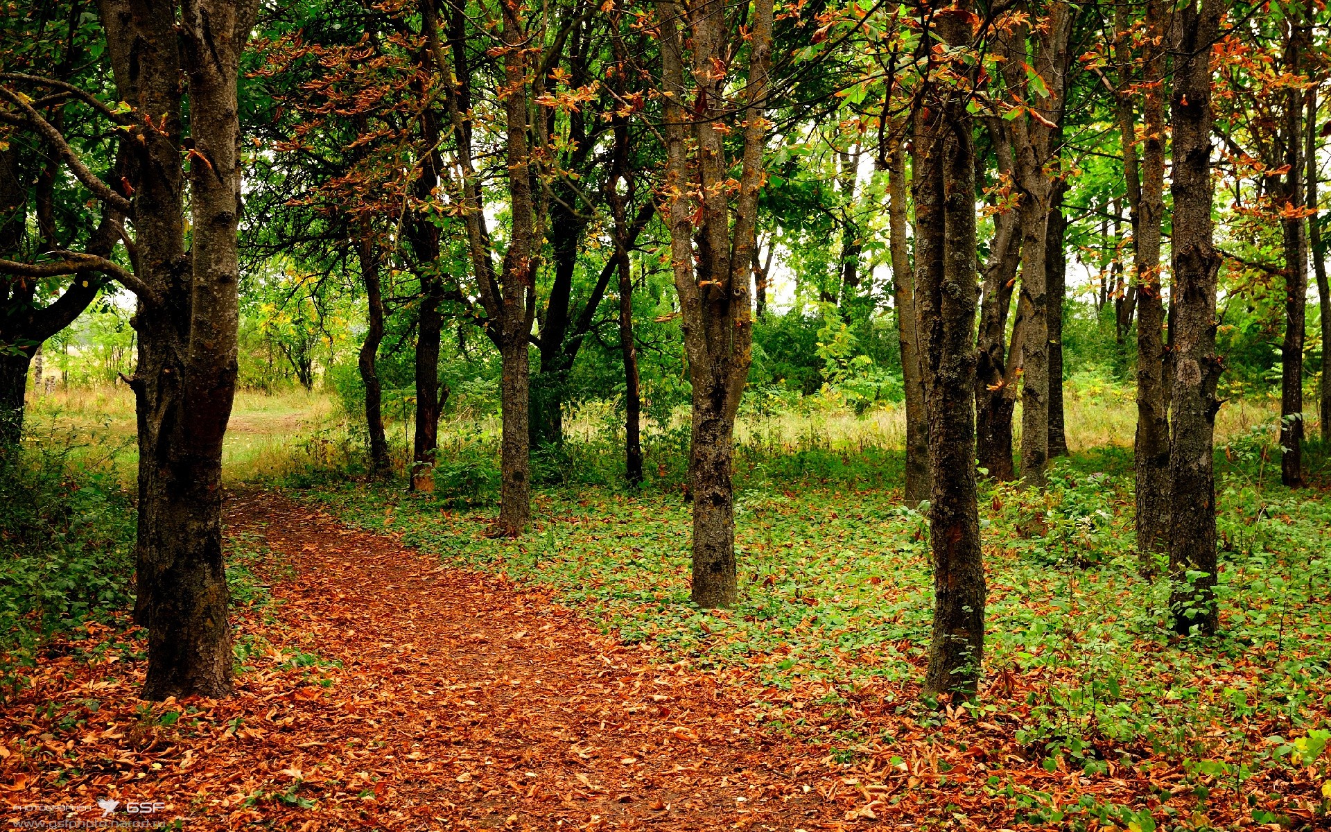 九游娱乐官方网站-篮球双雄会，北京队巅峰对决掀翻太阳，贝恩东决关键战主宰命运